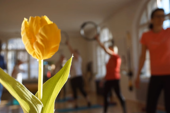 Im Hintergrund läuft das Workout. Im Vordergrund eine gelbe Tulpe im Sonnenschein.